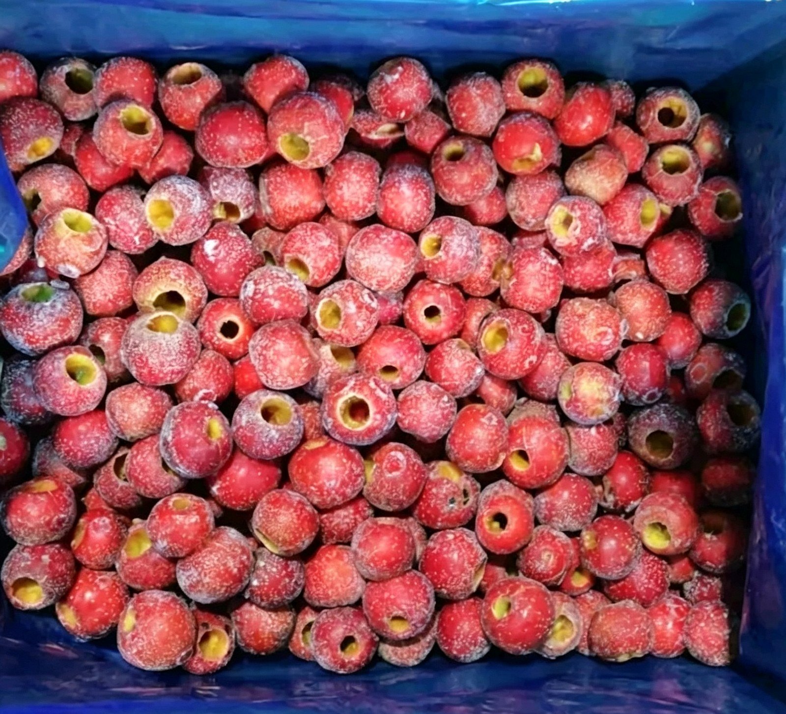 Pitted Freeze-Dried Hawthorn Fruit view 2