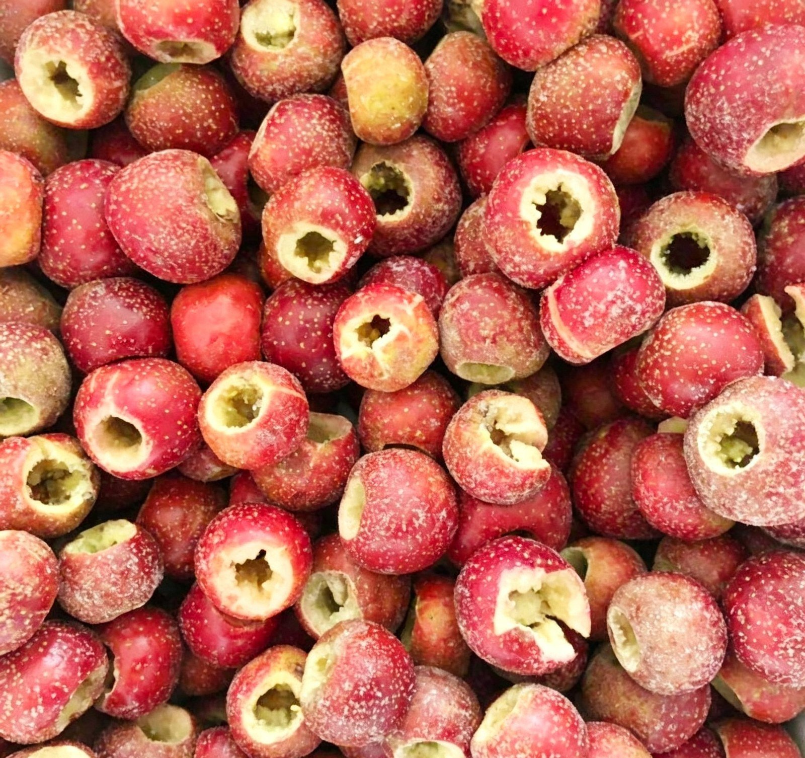 Pitted Freeze-Dried Hawthorn Fruit view 3